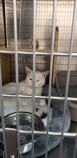 Pet Supply Store «PetSmart», reviews and photos, 215 N Burkhardt Rd, Evansville, IN 47715, USA