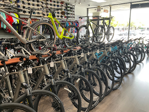 Bicycle Store «City Bikes Aventura», reviews and photos, 20335 Biscayne Blvd, Aventura, FL 33180, USA