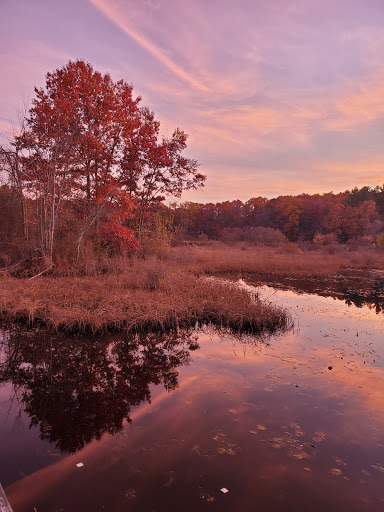 Nature Preserve «The Nature Trail and Cranberry Bog», reviews and photos, 252 Patriot Pl, Foxborough, MA 02035, USA