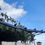 Photo n°11 de l'avis de w.c fait le 18/09/2022 à 16:11 sur le  Happichl Hof à Partschins