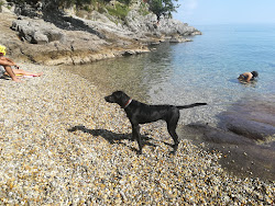 Dog Beach Opatija'in fotoğrafı dağlarla çevrili