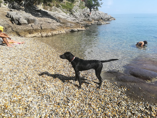 Dog Beach Opatija