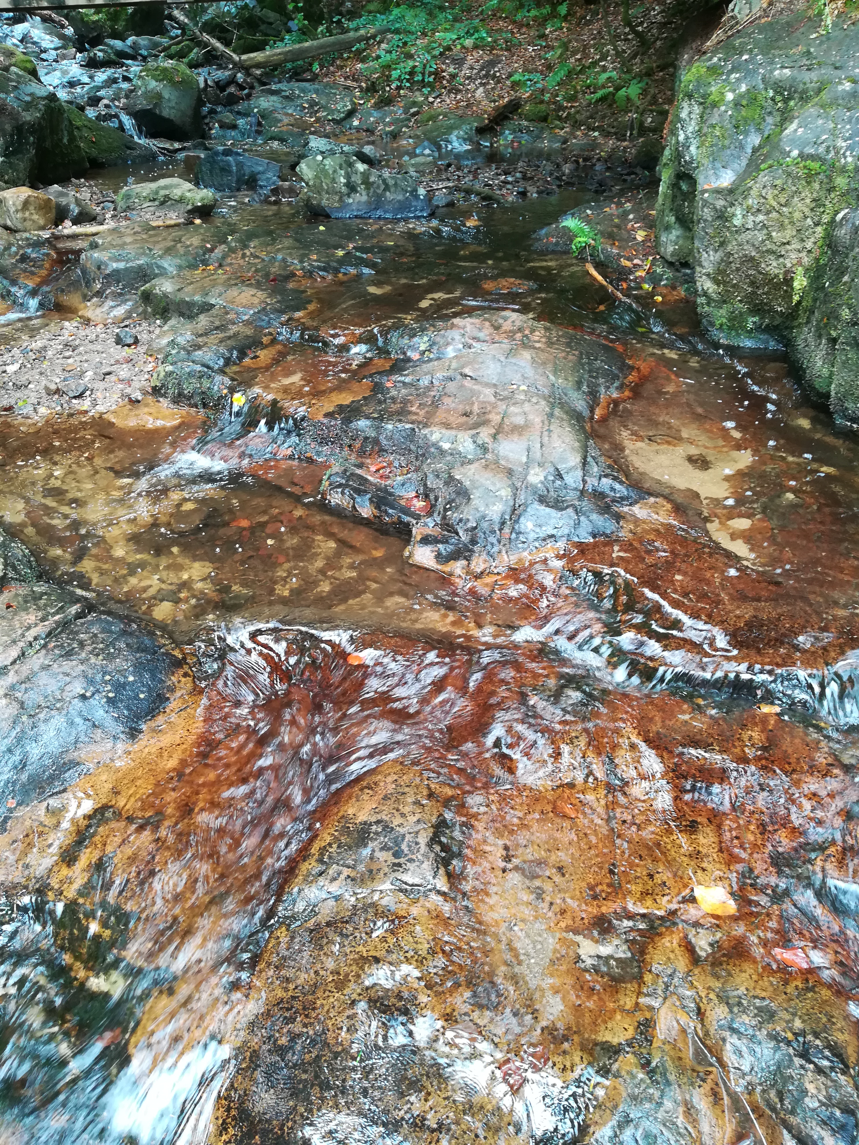 Photo n° 1 de l'avis de Sandrisa.. fait le 24/08/2018 à 15:18