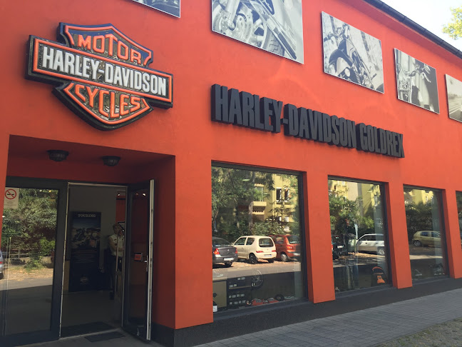 Hozzászólások és értékelések az Harley-Davidson GOLDREX-ról