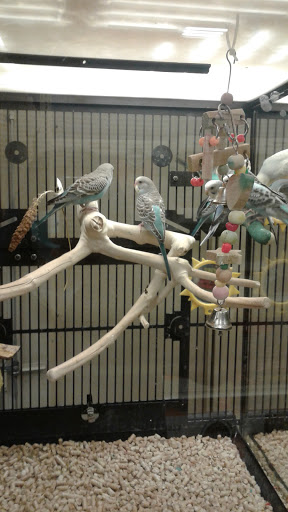 Pet Supply Store «PetSmart», reviews and photos, 901 US-1, North Brunswick Township, NJ 08902, USA