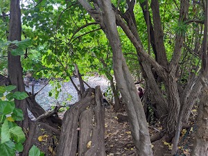 Makena Landing Park - photo 73