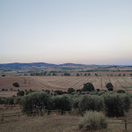 Photo n°2 de l'avis de Emanuela.a fait le 06/09/2023 à 16:33 sur le  Agriturismo Buratta à Talamone