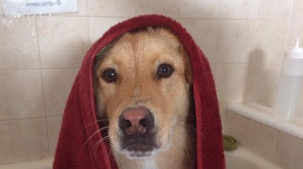 Wash-A-Mutt Self-Service Pet Wash - OPEN BY APPMT ONLY!
