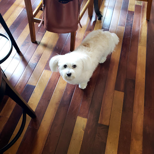 Pet Supply Store «Myrtle Avenue Pet Center», reviews and photos, 2725 Hubbard Ln, Eureka, CA 95501, USA