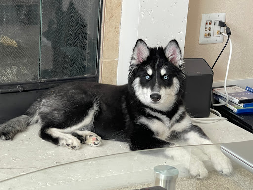 4140 Redwood Hwy, San Rafael, CA 94903, USA