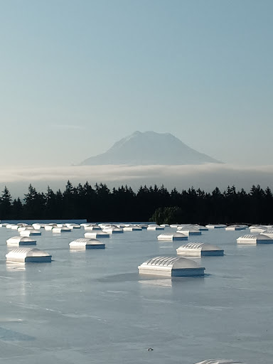 Roofing Contractor «Weatherguard Inc», reviews and photos, 1128 12th Ave, Longview, WA 98632, USA