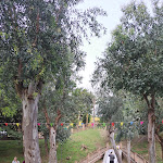 Photo n°2 de l'avis de Emily.e fait le 31/03/2024 à 15:54 sur le  Fattorie Albatros à Quarto