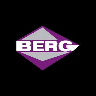 Berg Sarl à Lunéville