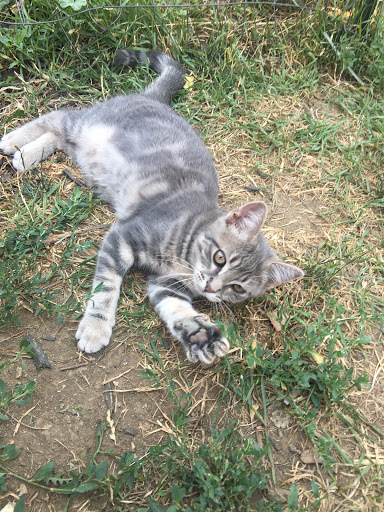 Computer Service «Perfection Tool & PC Repair Inc», reviews and photos, 16399 S Golden Rd b, Golden, CO 80401, USA