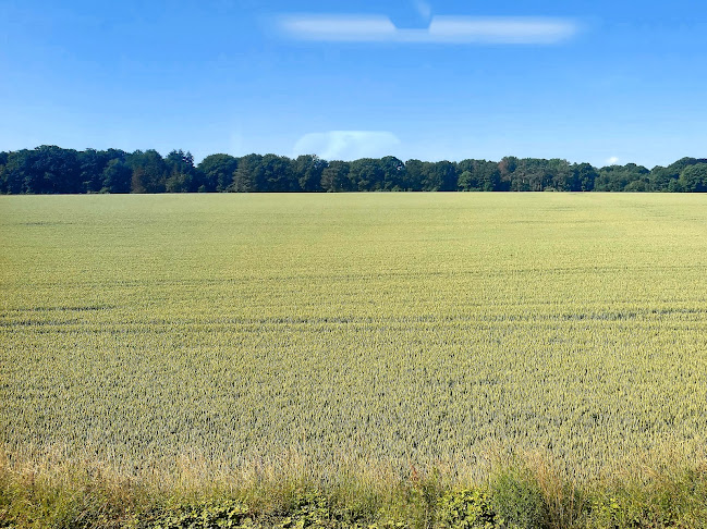 Rue du Bois des Rêves 55, 1341 Ottignies-Louvain-la-Neuve, België