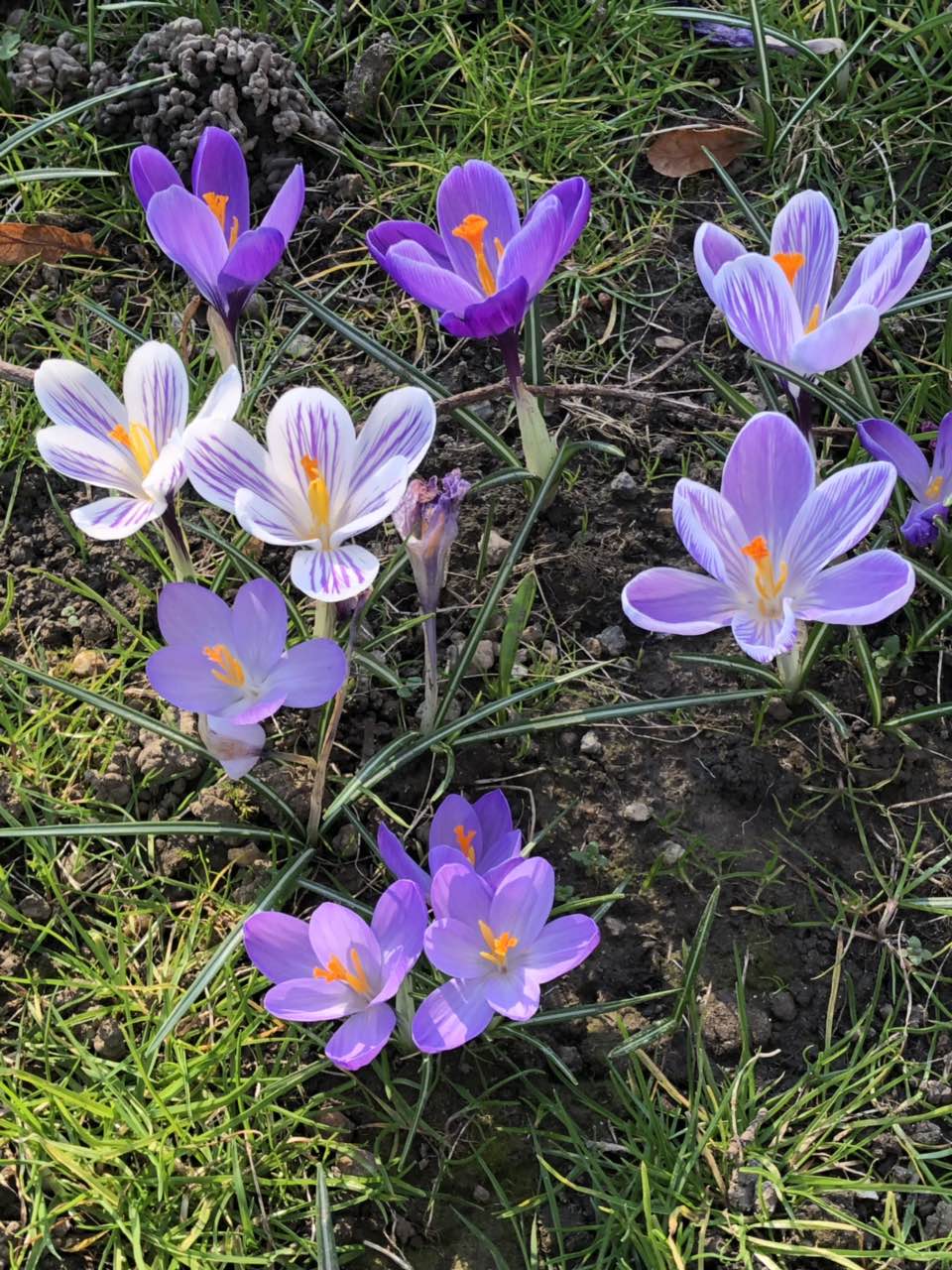 Photo n° 1 de l'avis de Cay.h fait le 24/02/2019 à 17:06