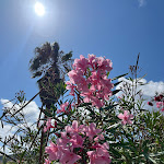 Photo n°4 de l'avis de Lene.j fait le 06/07/2023 à 12:11 sur le  Vila Baleira Resort à Cabeco da Ponta