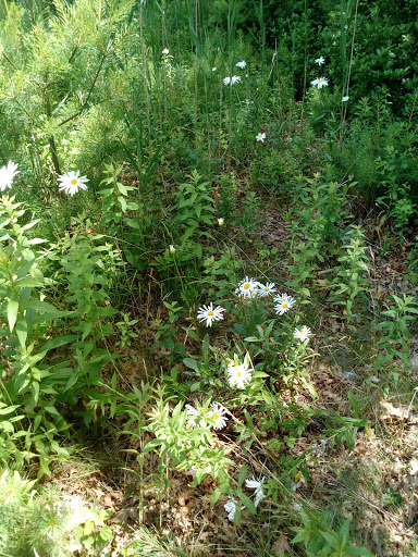 Private Golf Course «The Bay Club», reviews and photos, 63 County Rd, Mattapoisett, MA 02739, USA