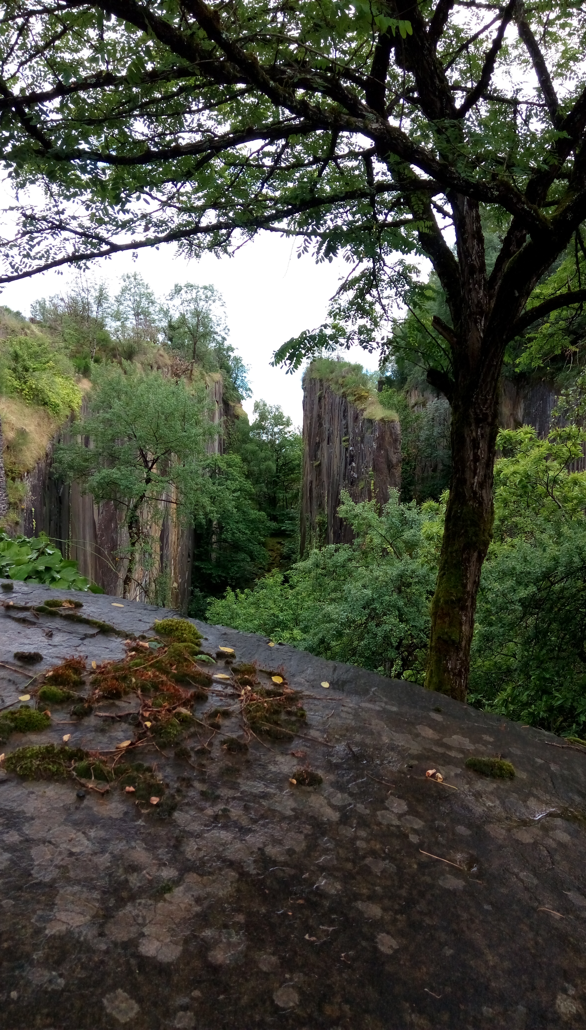 Photo n° 13 de l'avis de véronique.u fait le 13/06/2019 à 11:34