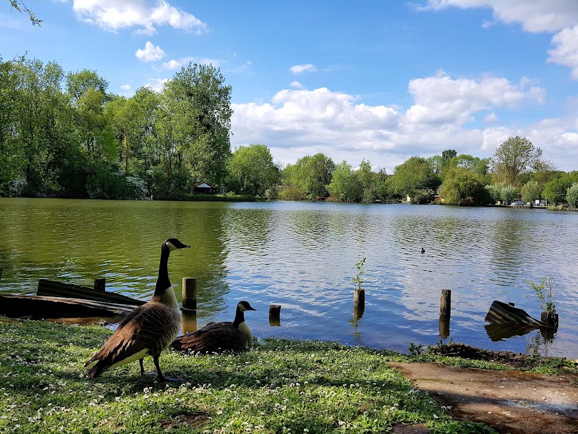 Le Chalet Des Etangs à Vert-le-Petit