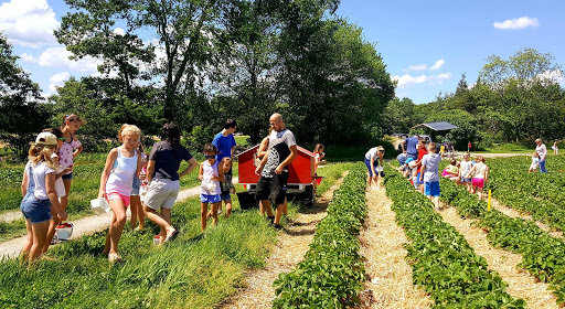 Farm «Jones Family Farms», reviews and photos, 606 Walnut Tree Hill Rd, Shelton, CT 06484, USA