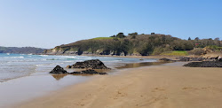 Foto van Caerhays Strand (Porthluney Bay) en de nederzetting