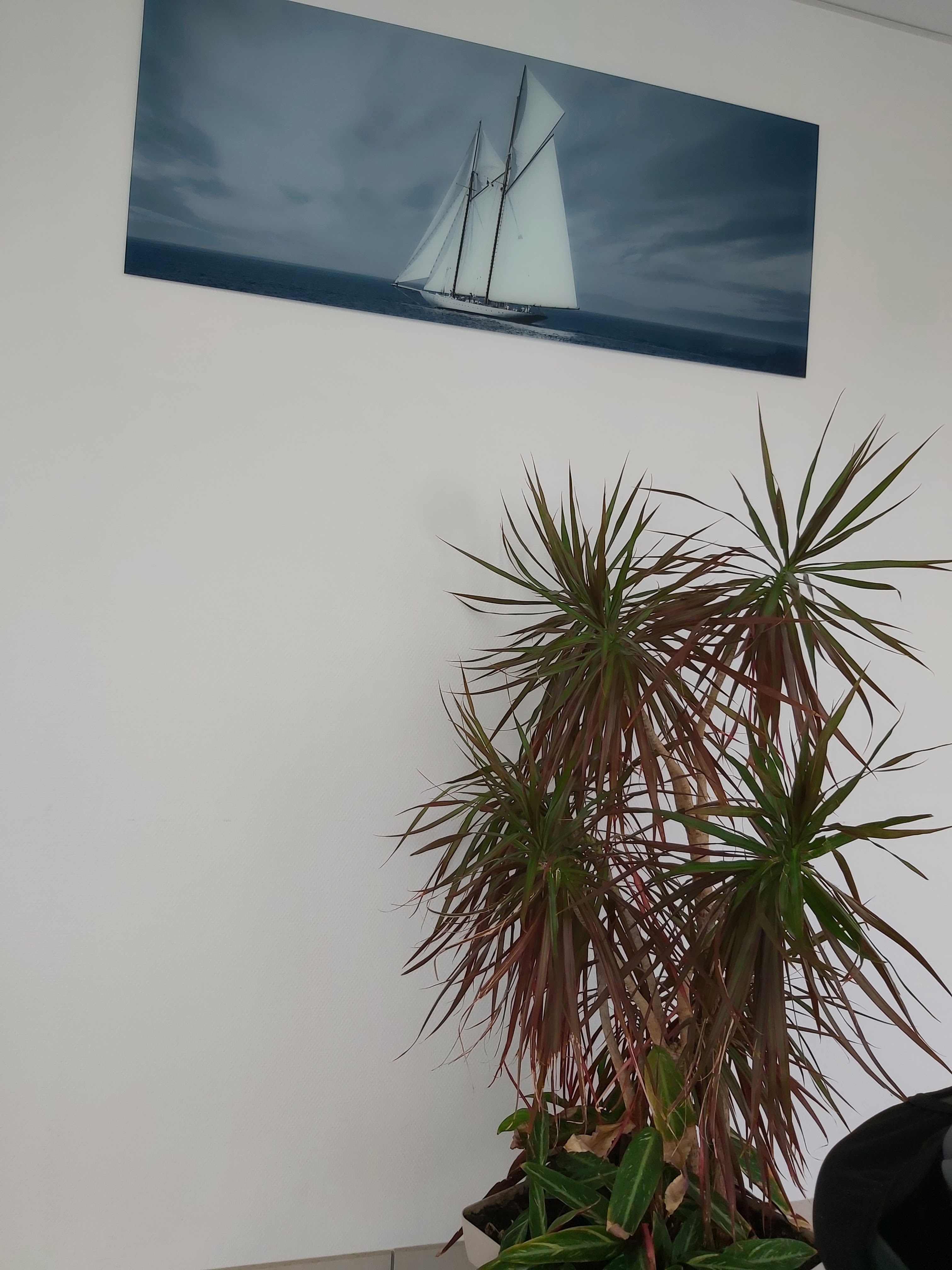 Photo n° 1 de l'avis de Klétio.y fait le 27/07/2021 à 17:52