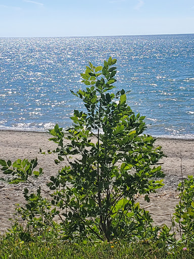 Park «Gratiot Park», reviews and photos, NY-5 & Point Dr W, Dunkirk, NY 14048, USA