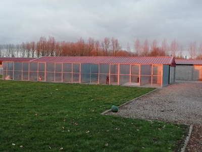 Anim'hot à Templeuve-en-Pévèle