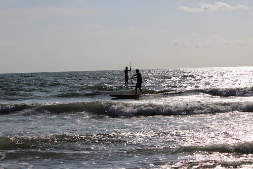 Surf Shop «Old Naples Surf Shop», reviews and photos, 1311 3rd St S, Naples, FL 34102, USA