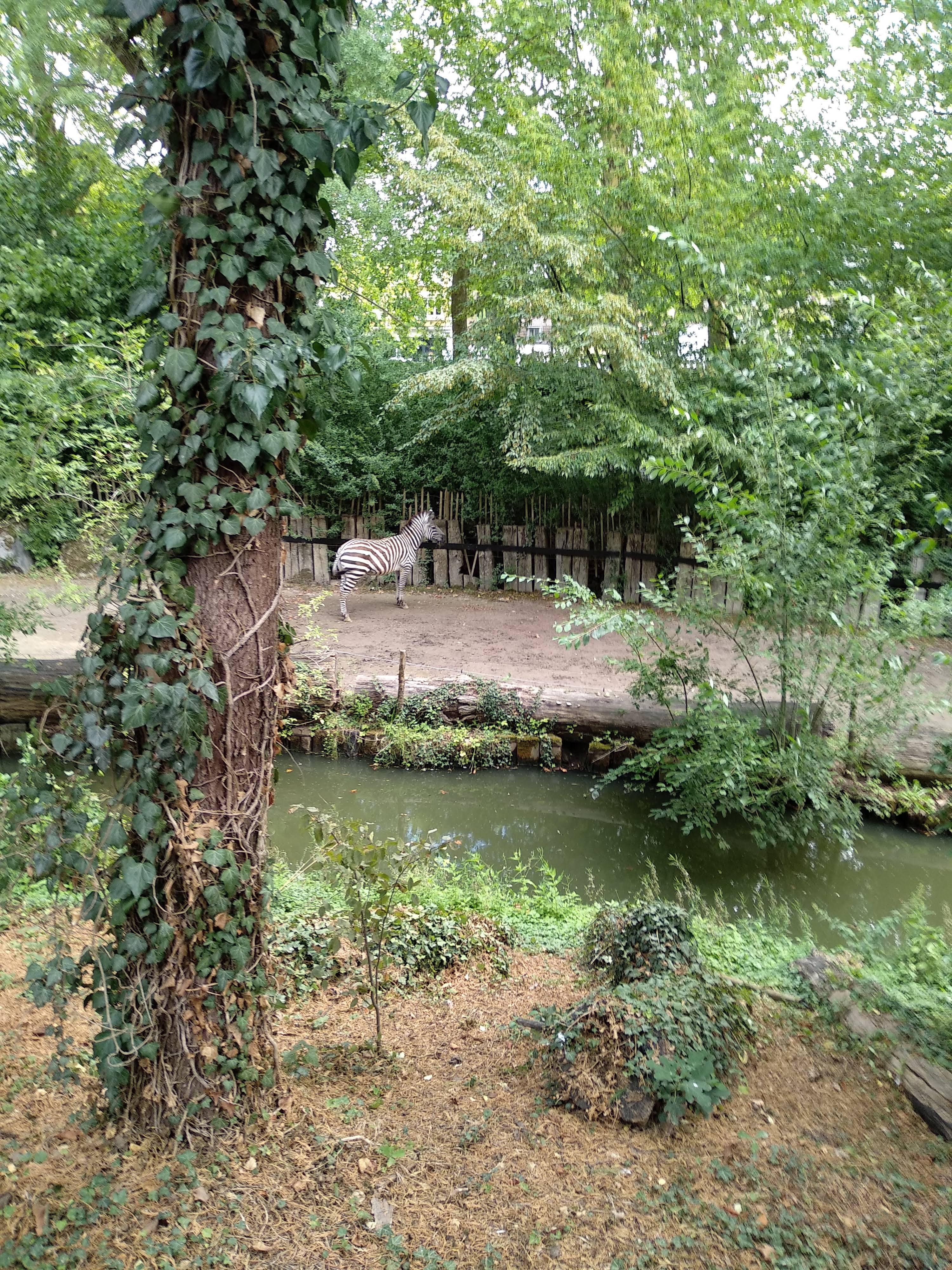 Photo n° 10 de l'avis de Xavier. fait le 10/08/2018 à 16:35