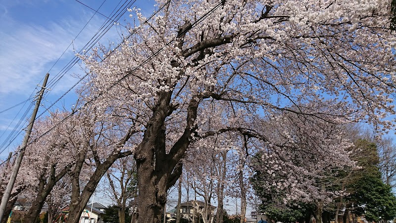 東込道公園