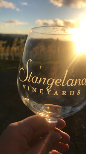 Vineyard «Stangeland Vineyards & Winery», reviews and photos, 8500 Hopewell Rd NW, Salem, OR 97304, USA