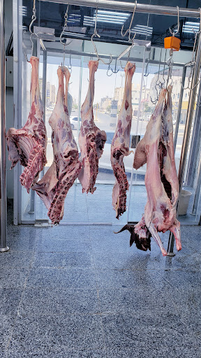 ملحمة قمة الشاطئ 