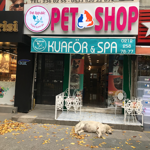 Pet Kuaför & Spa Pet Republic | Beşiktaş İstanbul - Evcil Hayvan Kuaförü