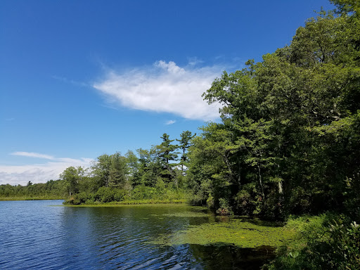 State Park «Watson Pond State Park», reviews and photos, 1644 Bay St, Taunton, MA 02780, USA