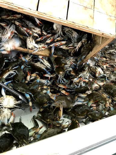 Grocery Store «1st Spring Supermarket», reviews and photos, 10681 E Colonial Dr, Orlando, FL 32817, USA