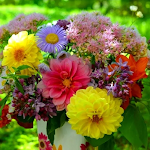 Photo n°1 de l'avis de Ana.a fait le 01/07/2021 à 14:28 sur le  bar La Plaza à Spresiano