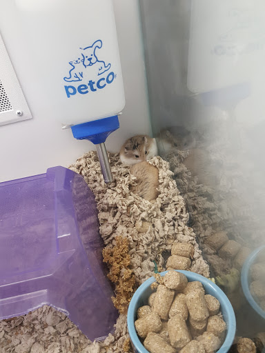 Pet Supply Store «Petco Animal Supplies», reviews and photos, 4751 W 29th St, Greeley, CO 80634, USA