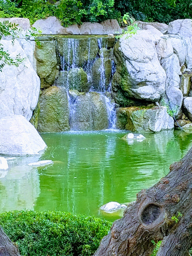 Park «Margaret T. Hance Park», reviews and photos, 67 W Culver St, Phoenix, AZ 85003, USA