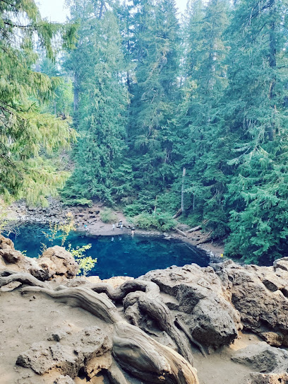 Tamolitch Falls (Blue Pool)