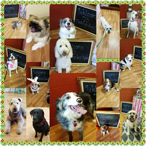 Pet Groomer «Shabby Dog Salon Dog Grooming», reviews and photos, 650 Goerig St c, Woodland, WA 98674, USA