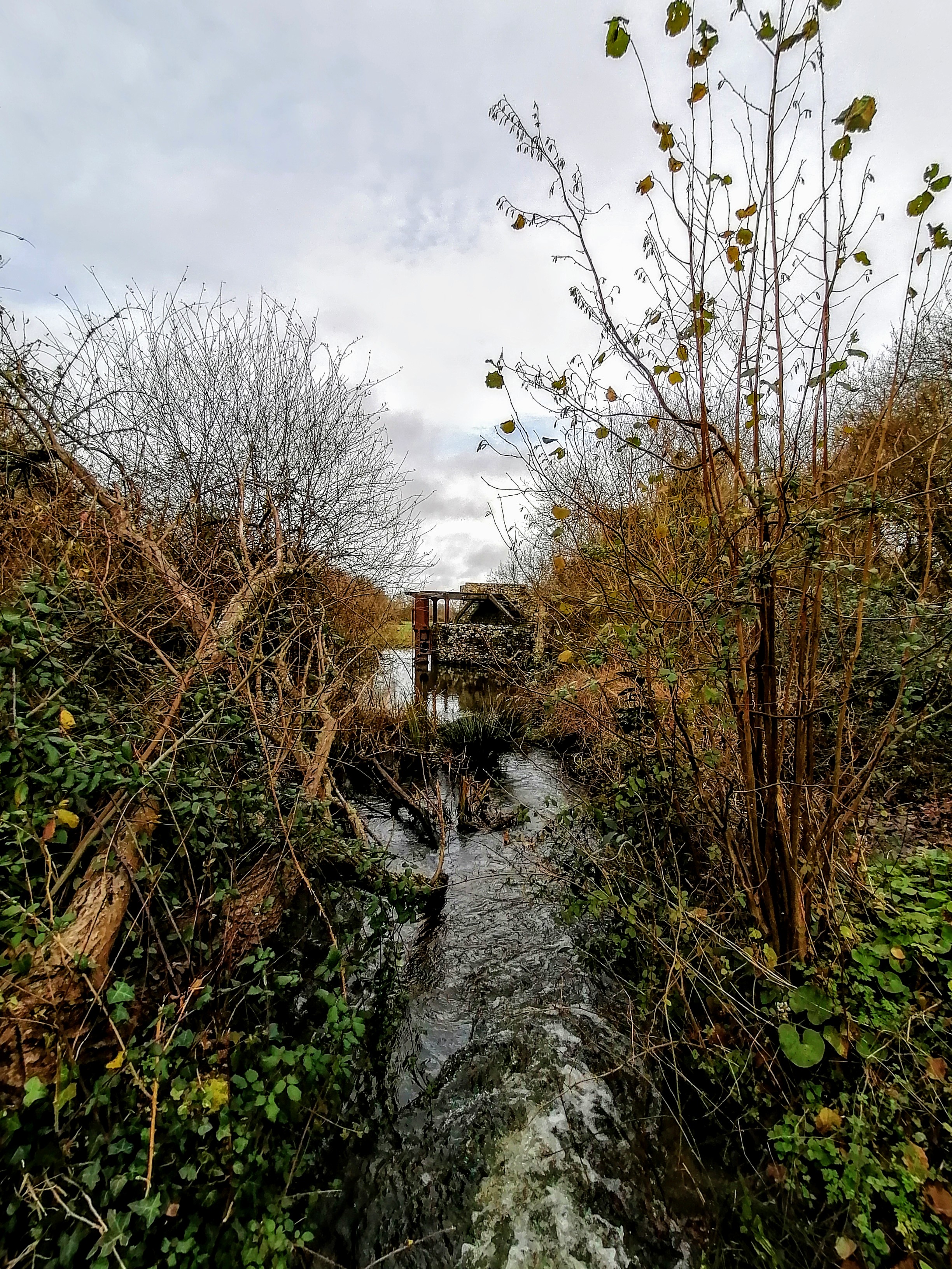 Photo n° 12 de l'avis de artem.a fait le 02/01/2020 à 15:29