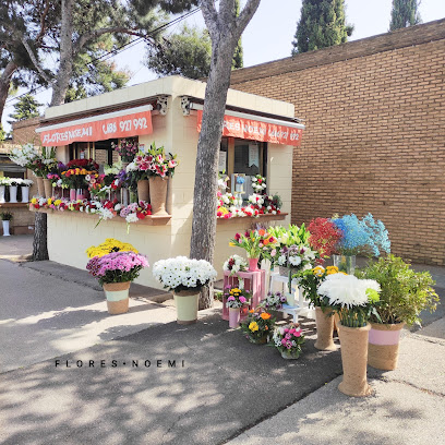 Flores Noemi en Zaragoza