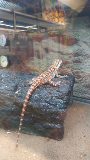 Pet Supply Store «Petco Animal Supplies», reviews and photos, 1970 S Robert St, West St Paul, MN 55118, USA