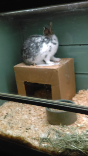 Pet Supply Store «Lacey Pet Supply», reviews and photos, 441 Lacey Rd, Forked River, NJ 08731, USA