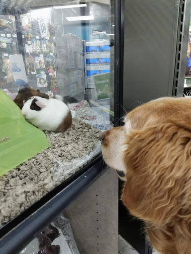 Pet Supply Store «Petco Animal Supplies», reviews and photos, 475 S Wadsworth Blvd, Lakewood, CO 80226, USA