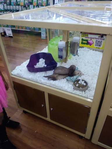 Pet Supply Store «Pet Supermarket», reviews and photos, 1790 SE Port St Lucie Blvd, Port St Lucie, FL 34952, USA