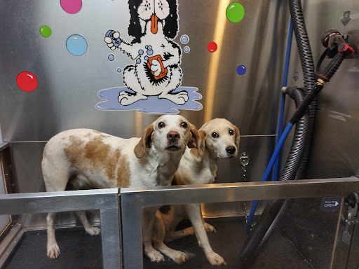 Pet Groomer «Belly scRubs Self Service Pet Wash», reviews and photos, 119 WV-34 #1, Hurricane, WV 25526, USA