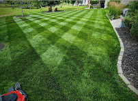 Willow Glen Gardening